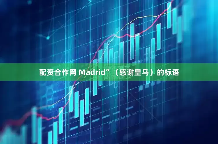 配资合作网 Madrid”（感谢皇马）的标语